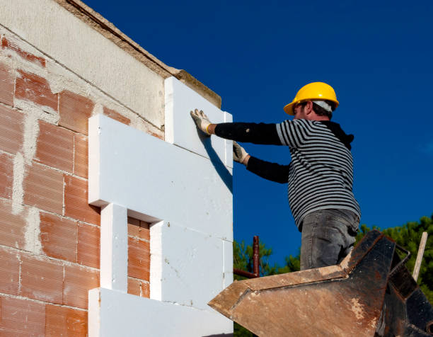 Best Spray Foam Insulation  in Sophia, WV