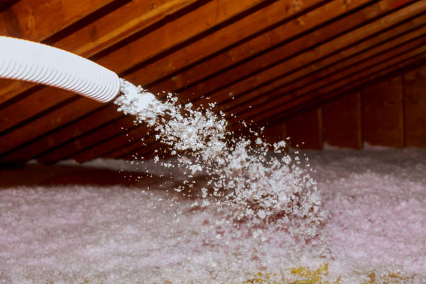 Best Spray Foam Insulation  in Sophia, WV
