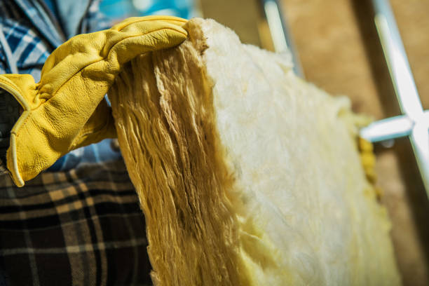 Best Attic Insulation Near Me  in Sophia, WV