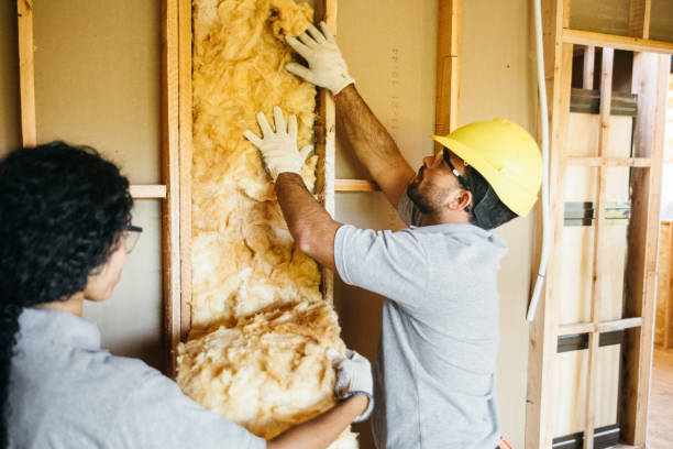 Best Residential Insulation Services  in Sophia, WV