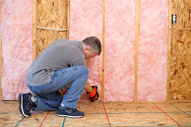 Best Attic Insulation Installation  in Sophia, WV