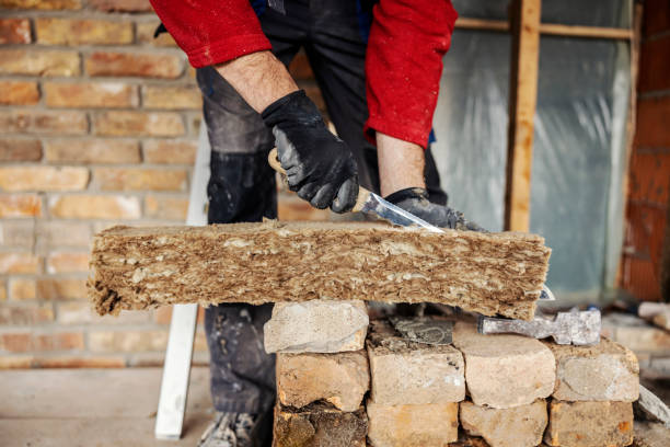 Best Insulation Removal  in Sophia, WV