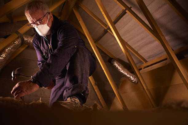 Trusted Sophia, WV Insulation Contractor Experts