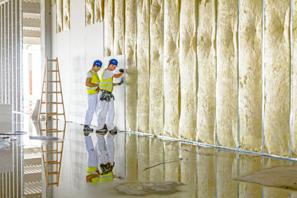 Best Local Insulation Services  in Sophia, WV